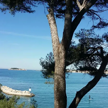 בית נופש Sur Pool Seaview